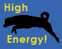 High Energy Dog